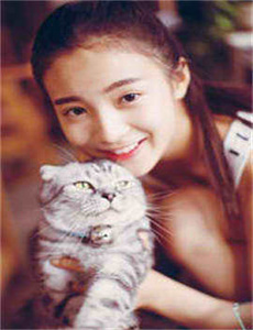 新兵给老兵吃鸡把照片换了-狼爹狐子猎豹娘
