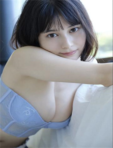 美国派5